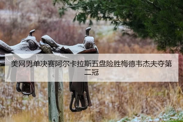 美网男单决赛阿尔卡拉斯五盘险胜梅德韦杰夫夺第二冠