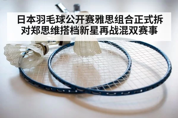 badminton racket close up