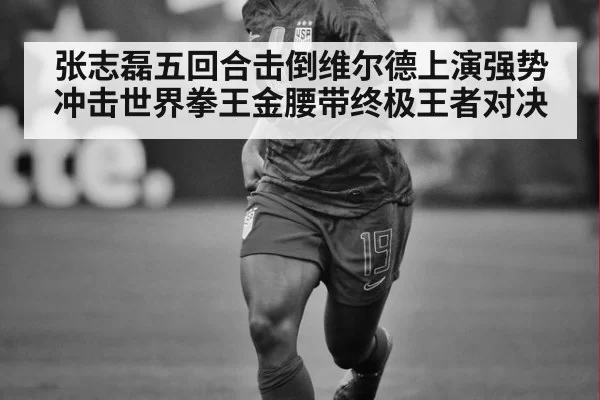 张志磊五回合击倒维尔德上演强势冲击世界拳王金腰带终极王者对决